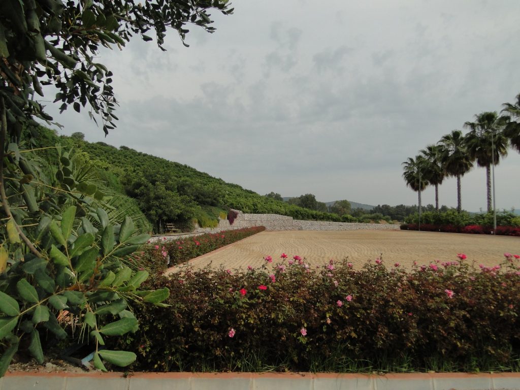 CON AIRE ANDALUZ (2)