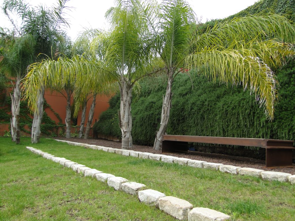 CON AIRE ANDALUZ (4)