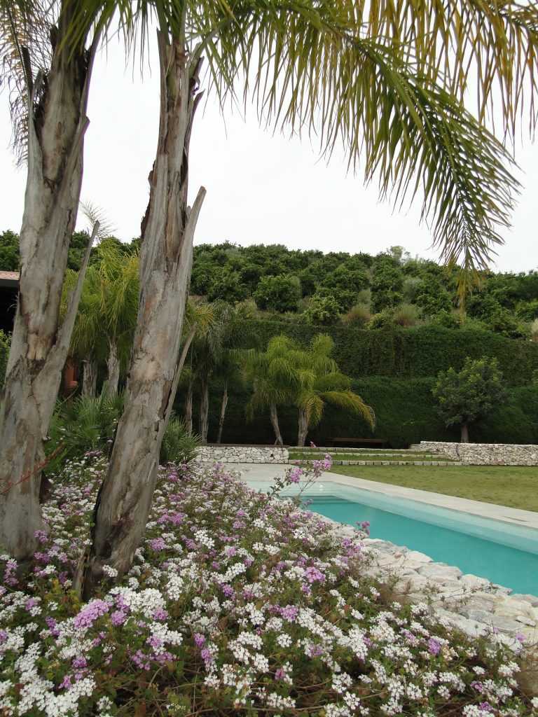 CON AIRE ANDALUZ (5)